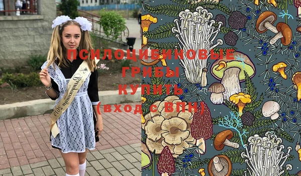 МДПВ Алзамай