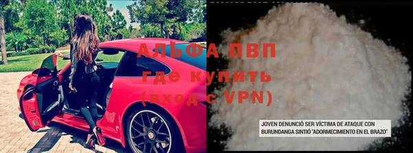 амф Дмитров