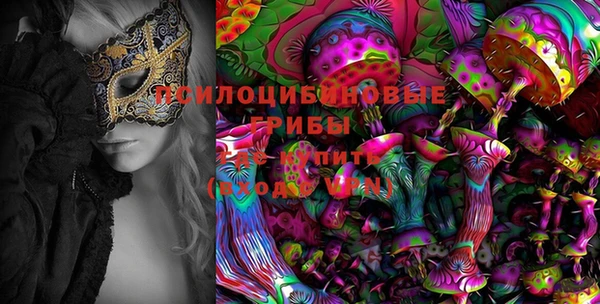 альфа пвп Алексеевка